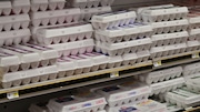 U.S. egg prices skyrocketed in price in early 2023. Alabama lawmakers are considering a sales tax cut on grocery products like eggs. Picture here: Ramey's Marketplace in Chatom, Ala., on Monday, May 15, 2023. (John Sharp/jsharp@al.com).