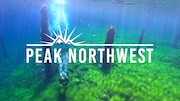 Scuba divers explore an ancient underwater forest in Clear Lake, found in Oregon's central Cascade Mountains.