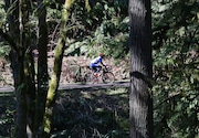 A cyclist rides along Leif Erikson Drive in Portland's Forest Park. The old road serves as one of the main hiking and cycling trails in the park. 