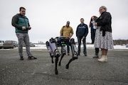 Alaska Department of Transportation program manager Ryan Marlow demonstrates the agency's robotic dog in Anchorage, Alaska, on March 26, 2024. The device will be camouflaged as a coyote or fox to ward off migratory birds and other wildlife at Alaska's second largest airport, the DOT said.