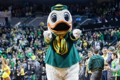 Oregon Ducks basketball