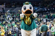 The Duck mascot as Oregon faces the No. 9 Arizona Wildcats in a men’s college basketball game at Matthew Knight Arena in Eugene, Oregon on Saturday, Jan. 27, 2024.