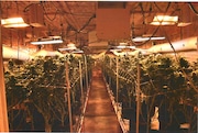 Fayao “Paul” Rong, 53, of Houston, was sentenced to two and a half years in federal prison for conspiracy to manufacture marijuana. He purchased residential homes in Oregon, converted them into indoor illegal marijuana grow sites with hired help and sold the drug out of state, federal prosecutors said. The government seized houses in Clatsop, Columbia, Linn, Marion, Polk and Yamhill counties.