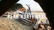 A driftwood fort built near Wade Creek, just south of Beverly Beach on the central Oregon coast.