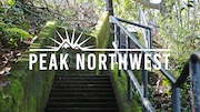 Stairs lead between neighborhood streets in Northwest Portland.